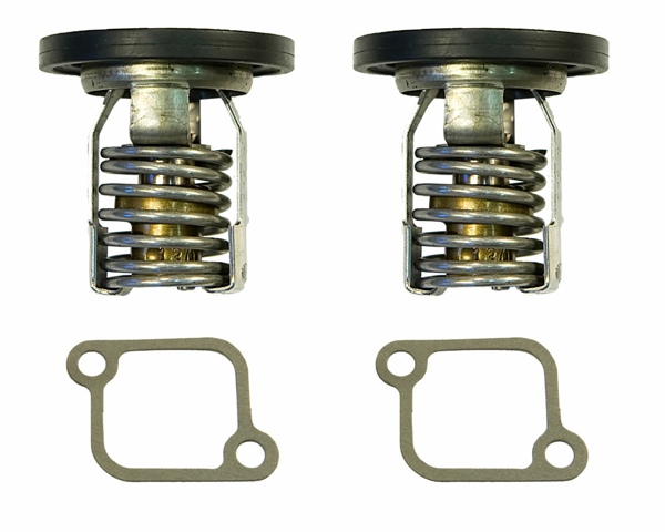THERMOSTAT KIT