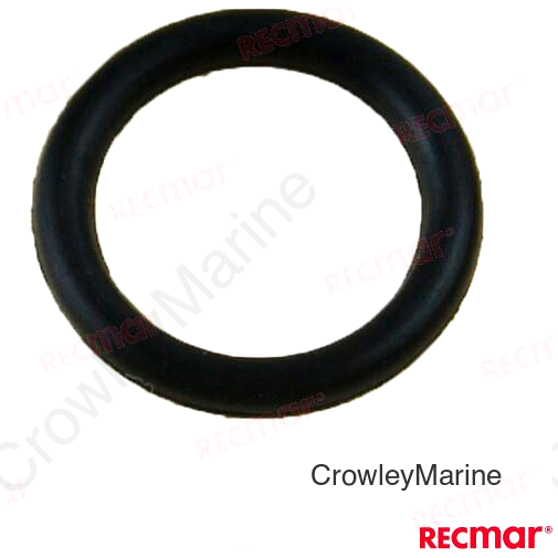 O-RING (REC25-62702)