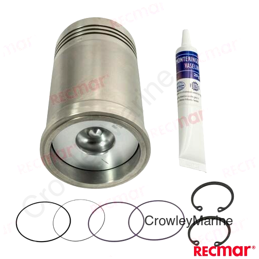 PISTON SET (REC3817861)