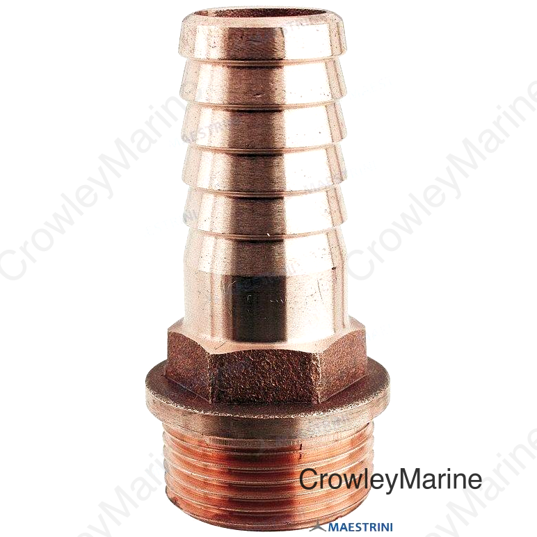 HOSE CONN BRZ 2"X 50 (GS30688)