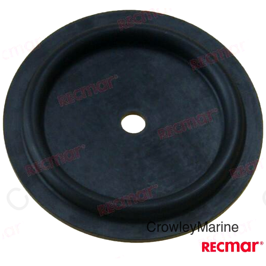 DIAPHRAGM (REC648771)