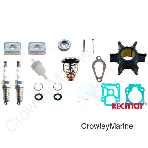 MERCURY MAINTENANCE KIT (RECKITMER209)