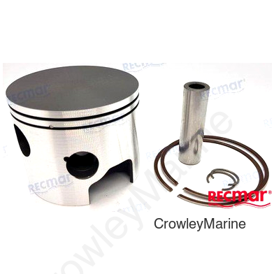 PISTON (WI3142P3)