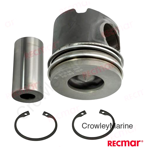 PISTON STD. D4/D6 (REC21921545)