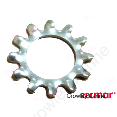 LOCK WASHER (REC307161)