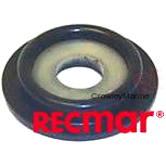 DIAPHRAGM (REC435957)
