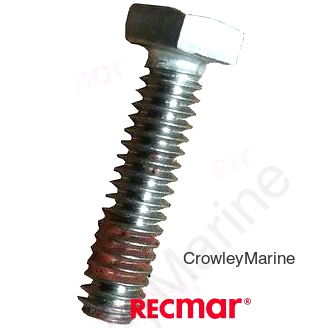 SCREW (REC302325)
