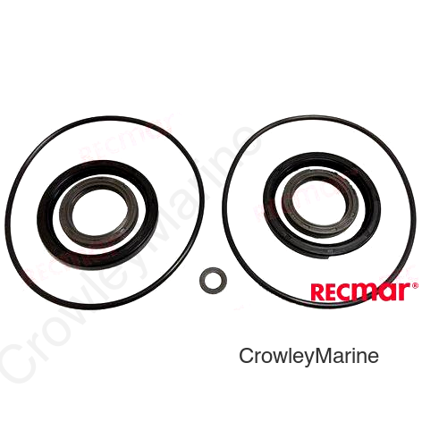 SEAL KIT LOWER UNIT DPH, DPH-D (REC23018)