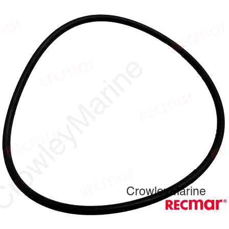 O-RING LWR DP-S,DP-SI,DP-SM (REC3854625)