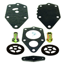 Fuel Pump Kit (40830)