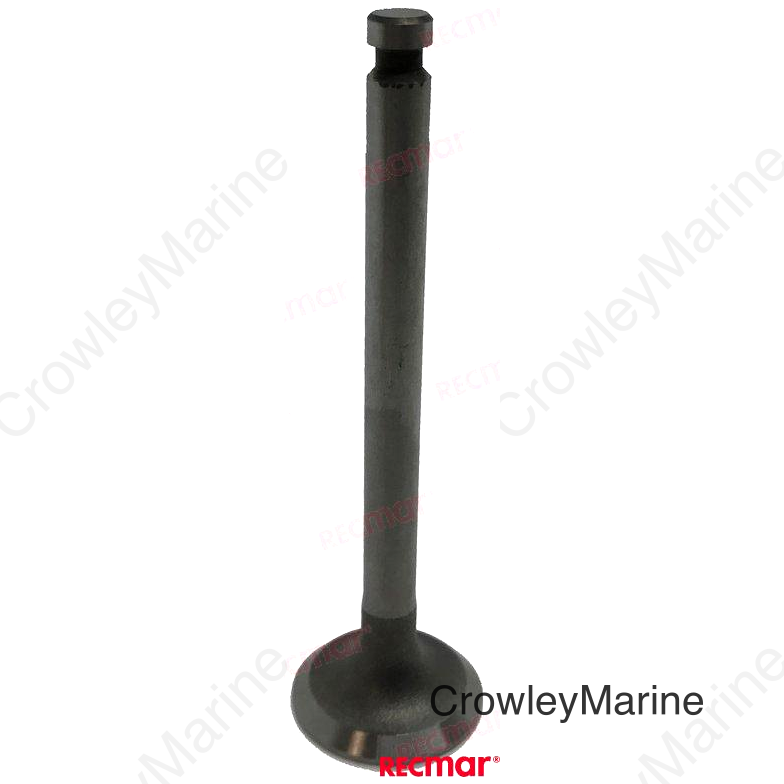 EXHAUST VALVE (REC105225-11110)