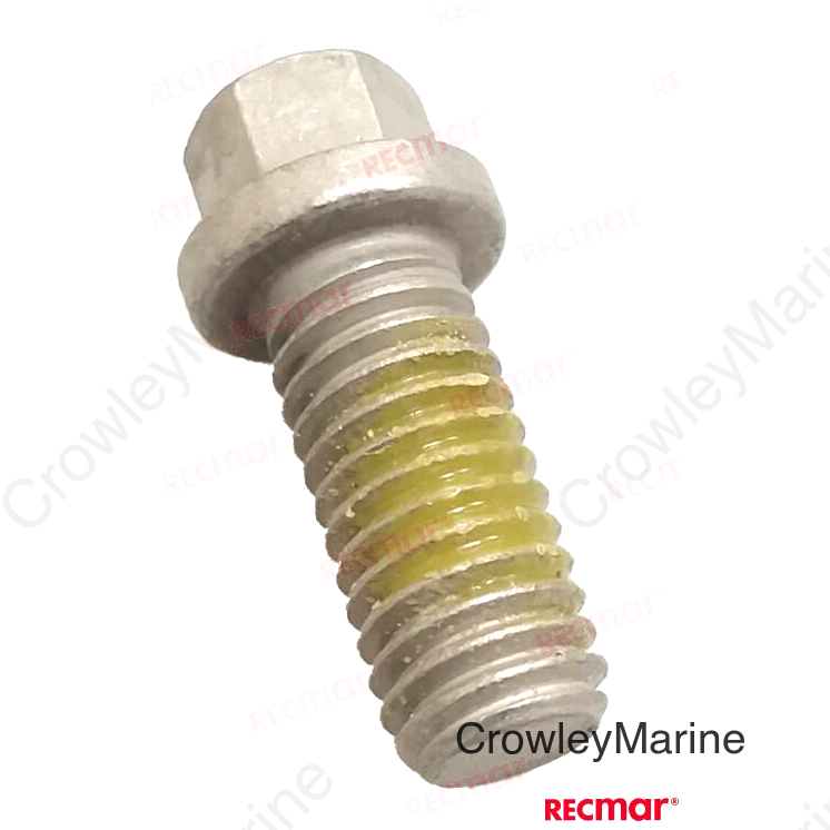SCREW (REC313715)