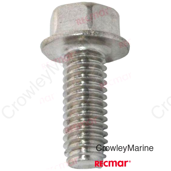 SCREW (REC341219)