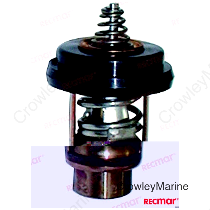 THERMOSTAT (RM804540)