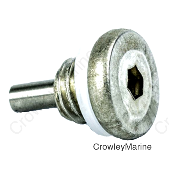 Drain Screw, Allen Head