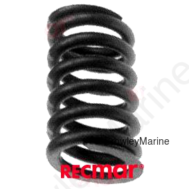 VALVE SPRING (REC418737)
