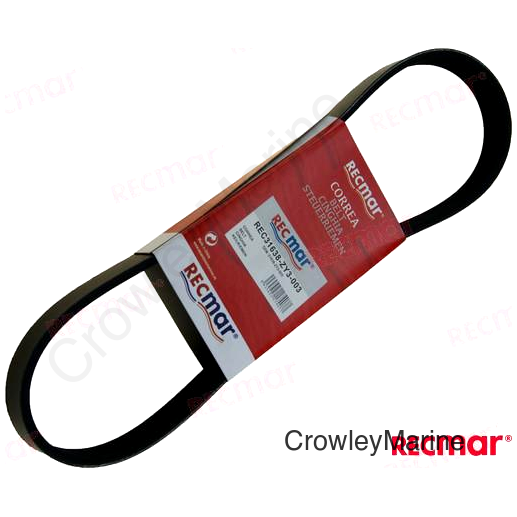 BELT (REC31638-ZY3-003)