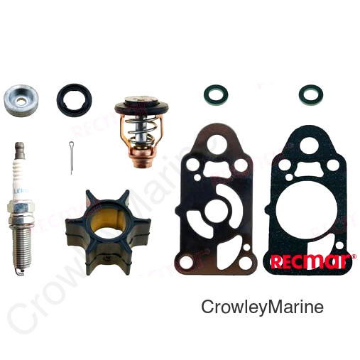 MERCURY SERVICE KIT (RECKITMER2.5)