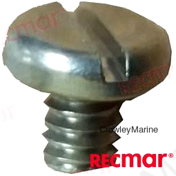 SCREW (REC309243)