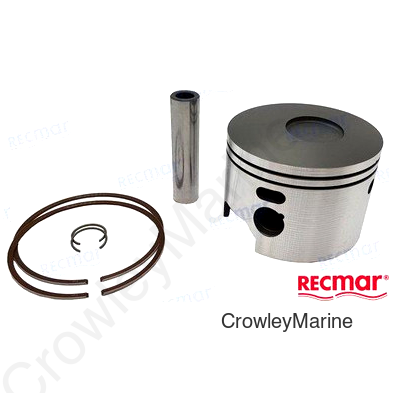 PISTON (WI3177P3)