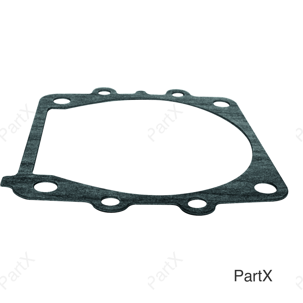 Gasket (38000)