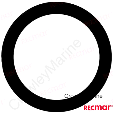 O-RING (REC25-33465)