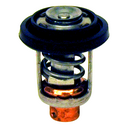 Thermostat (13320)