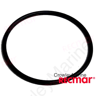 RUBBER O-RING (REC322494)
