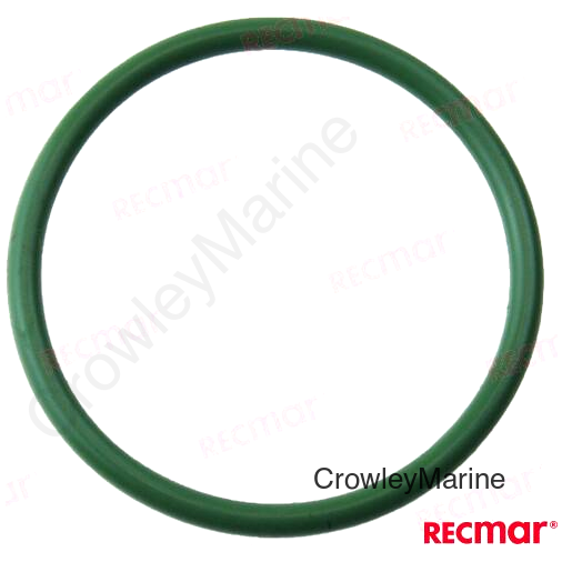 O'RING (REC969198)
