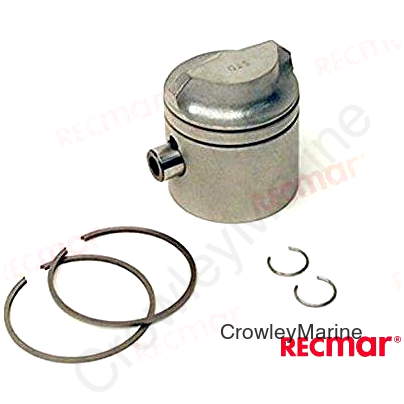 PISTON KIT (REC5006662)