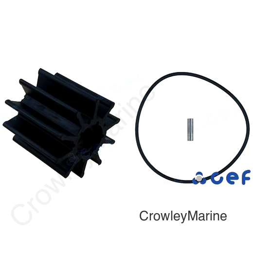 IMPELLER (CEF500193GX)