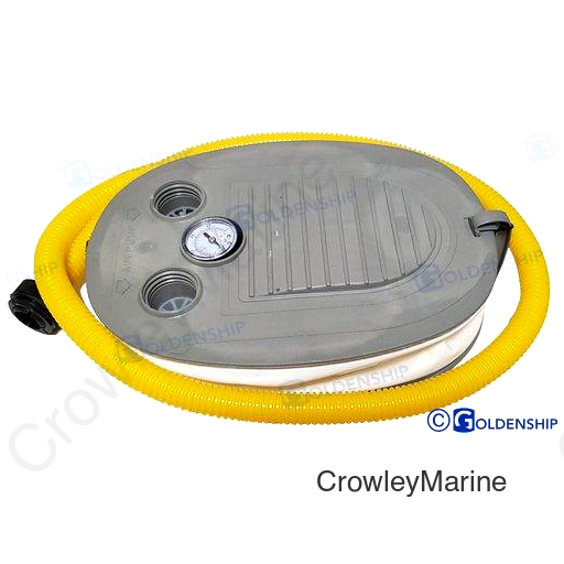 PUMP W GAUGE METRE (HSPUMPGAUGE)