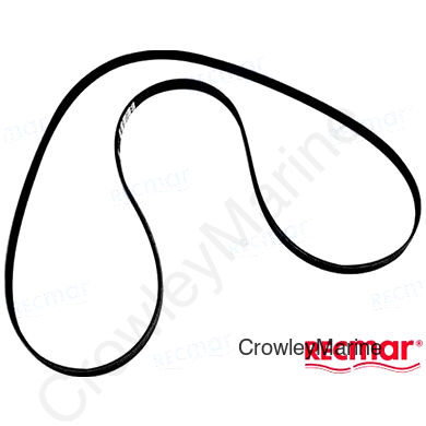 SERPENTINE BELT (REC57-817113)