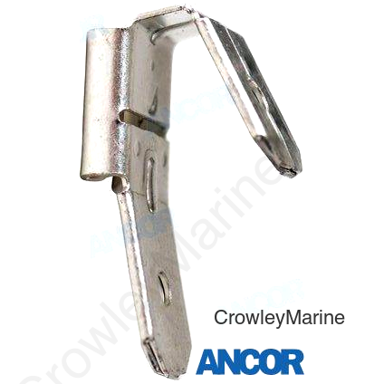 CONN (AM230613)