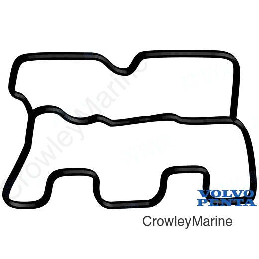 VALVE CVR GASKET D1 (REC3809657)