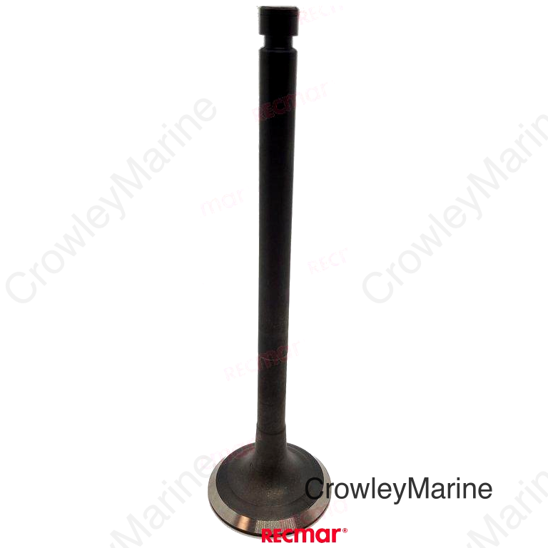 EXHAUST VALVE (REC128619-11110)