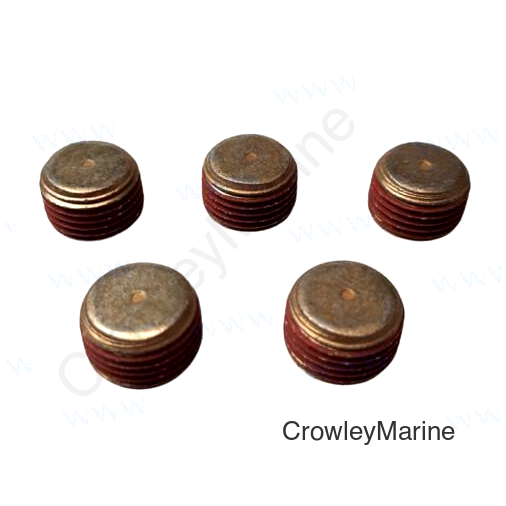 PLUG (5) (REC22-384071)