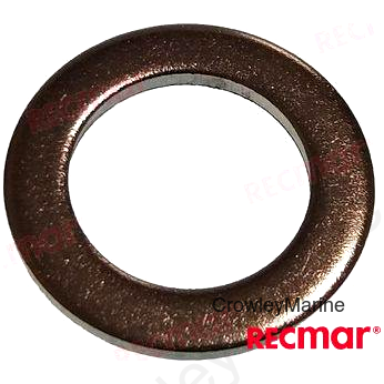 WASHER (RM3857588)