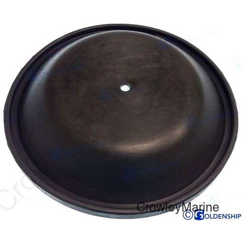 DIAPHRAGM FOR GS20030 (GS20036)