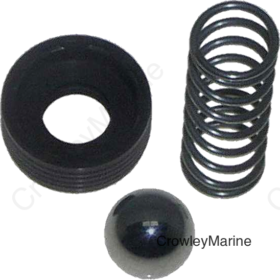 Check Valve Kit