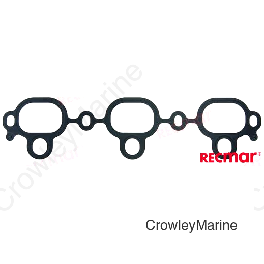 GASKET INTAKE MANIFOLD (REC13119-93J00)