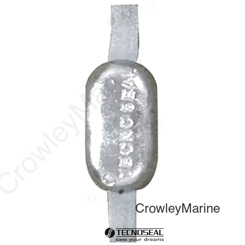ANODE OVAL 0.550 KG (TEN00301AL)