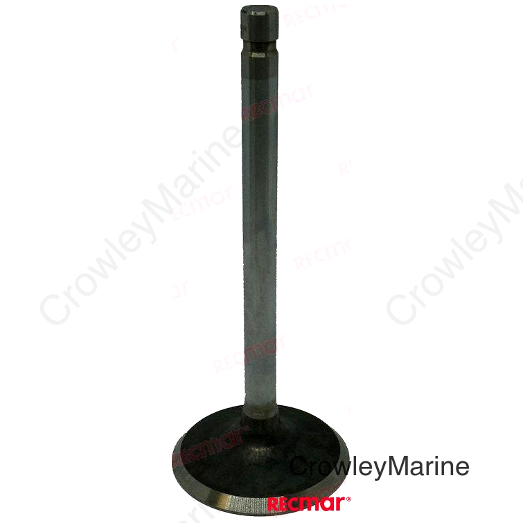 INTAKE VALVE (REC13510)