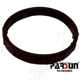 SEAL, INTAKE SILENCER (PAF40-05090803EI)