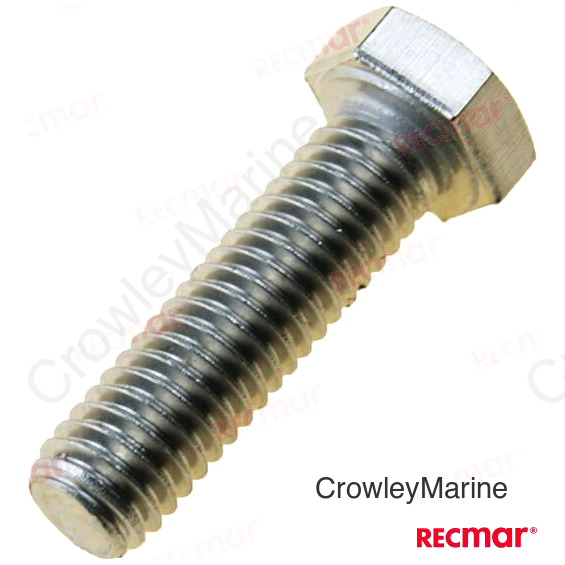 SCREW (REC305282)