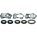 Gearcase Seal Kit (87833)