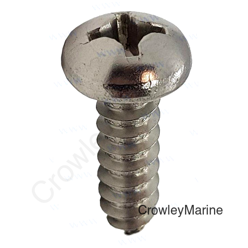 SCREW PAN HEAD ST5.5X19 (PAGB/T84.5-85)