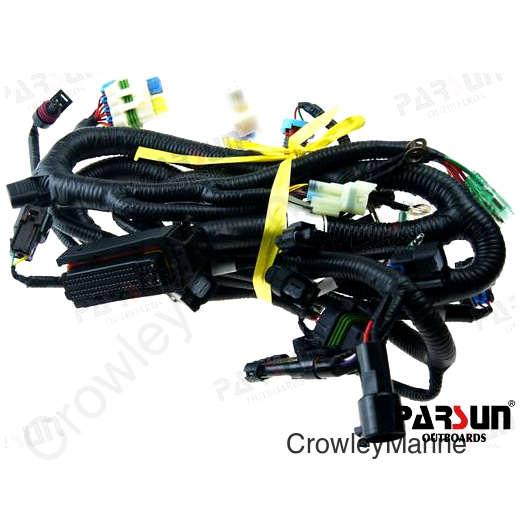 WIRING HARNESS, ECU CONTROL (PAF60-05000900)