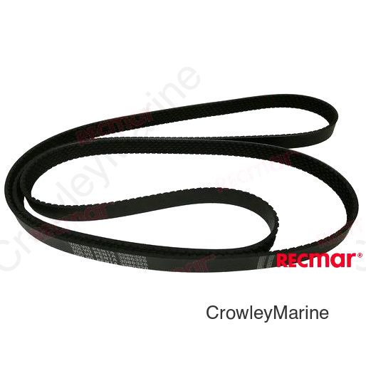 BELT (RM3586326)