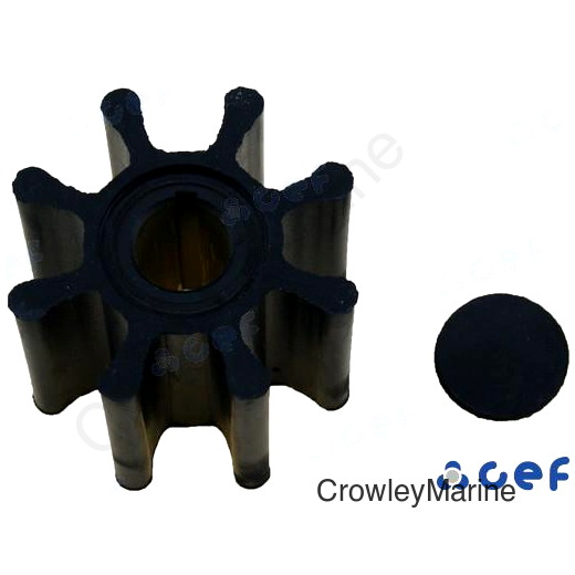IMPELLER (CEF500122T)